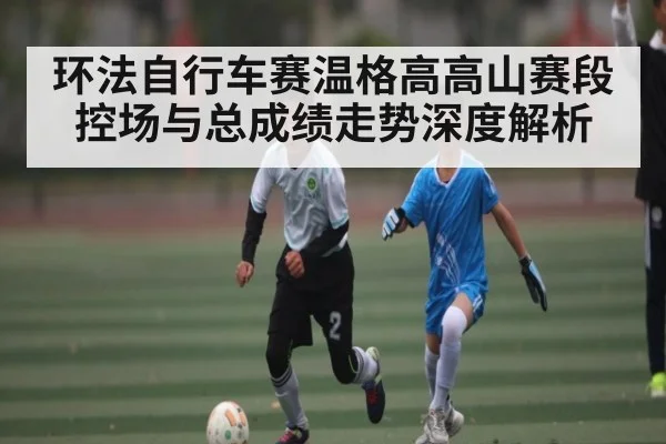 环法自行车赛温格高高山赛段控场与总成绩走势深度解析